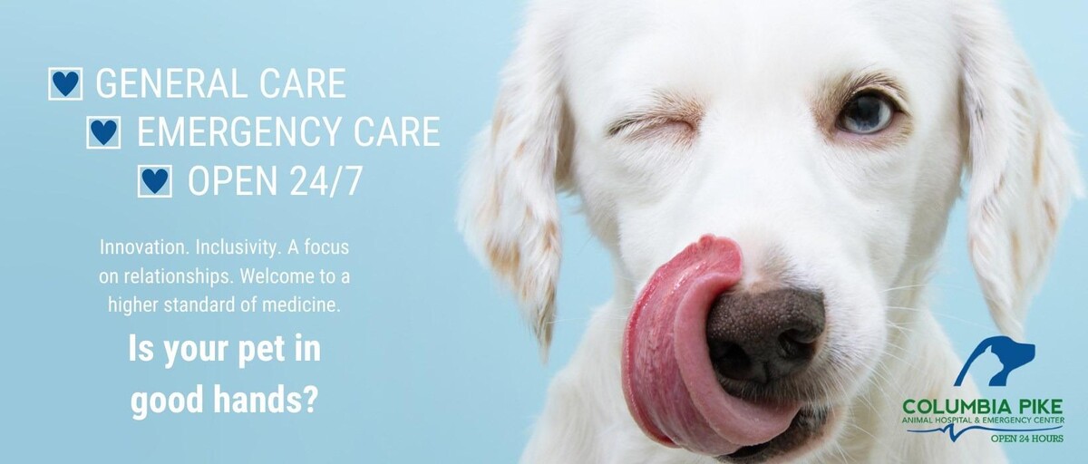 Images Columbia Pike Animal Hospital & Emergency Center
