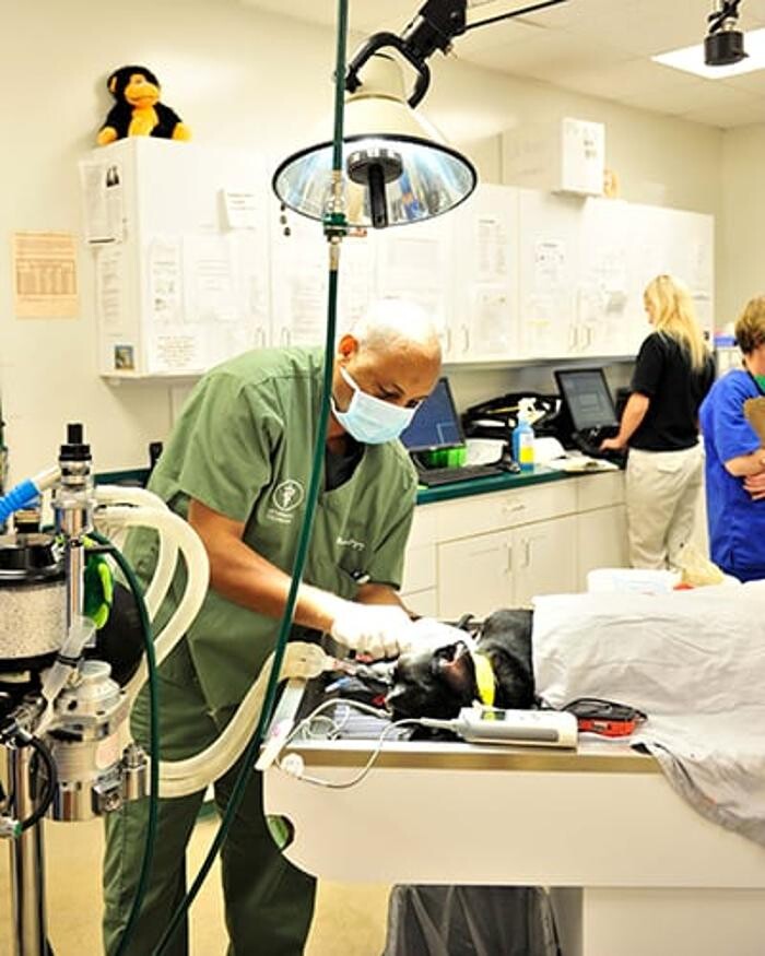 Images Town & Country Animal Hospital