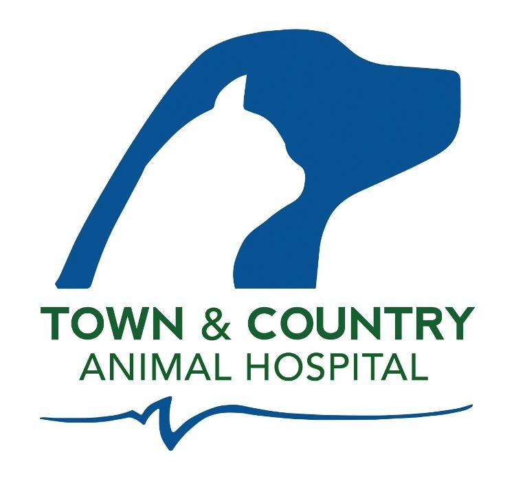 Images Town & Country Animal Hospital
