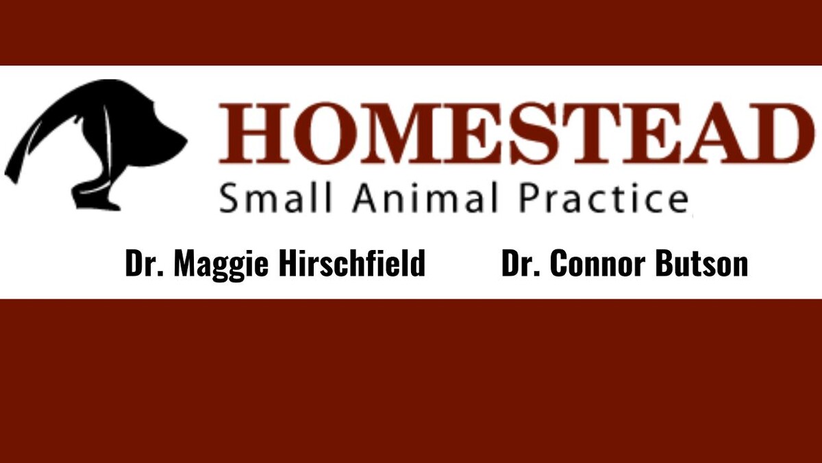Images Homestead Small Animal Practice