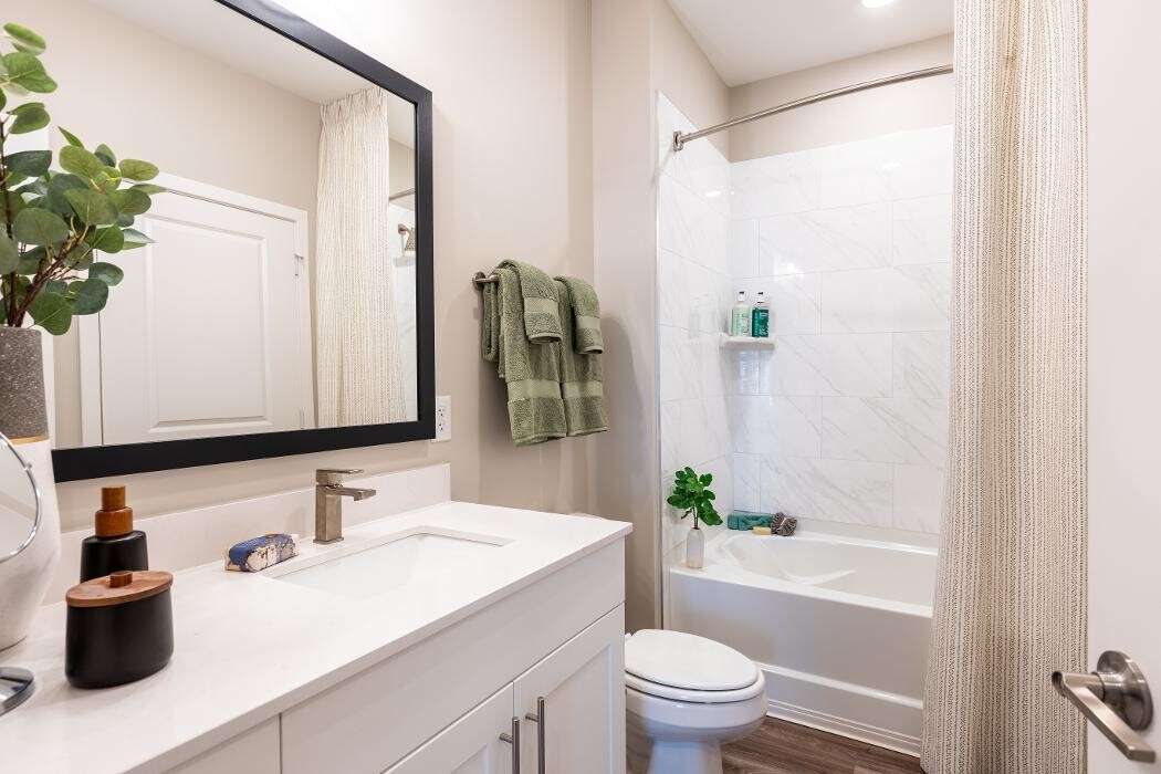 Images Bainbridge Cary