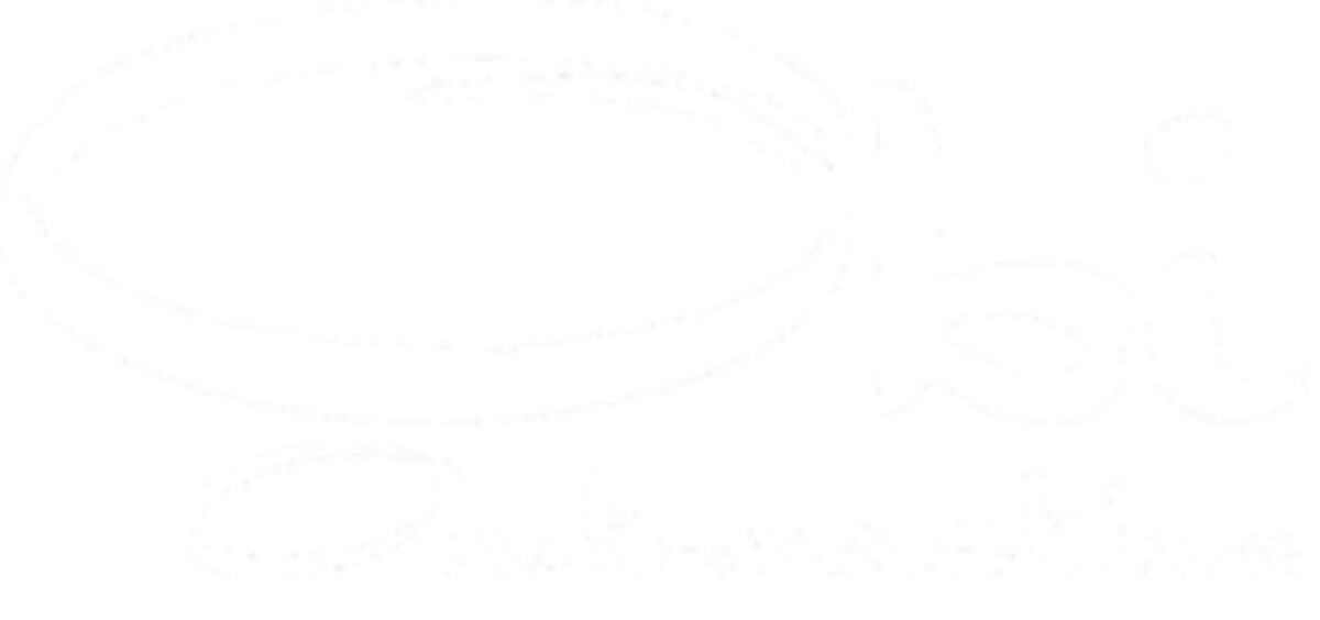 Obi Automotive Logo
