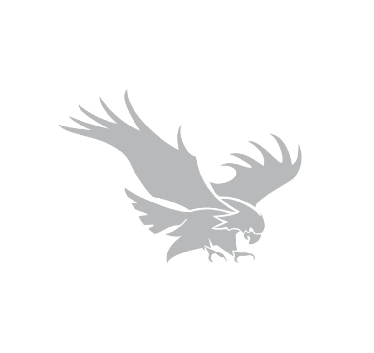 Glen Eagle Self Storage Logo