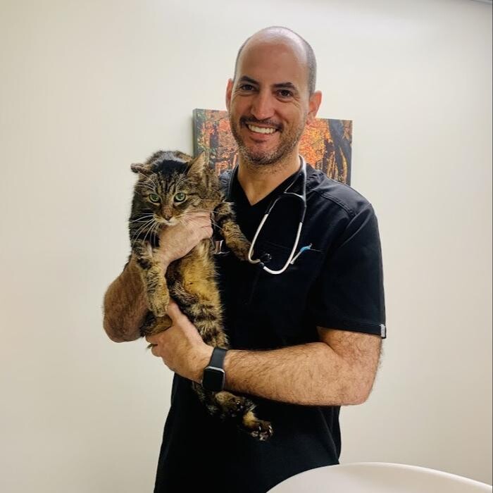 Images Saguaro Veterinary Clinic
