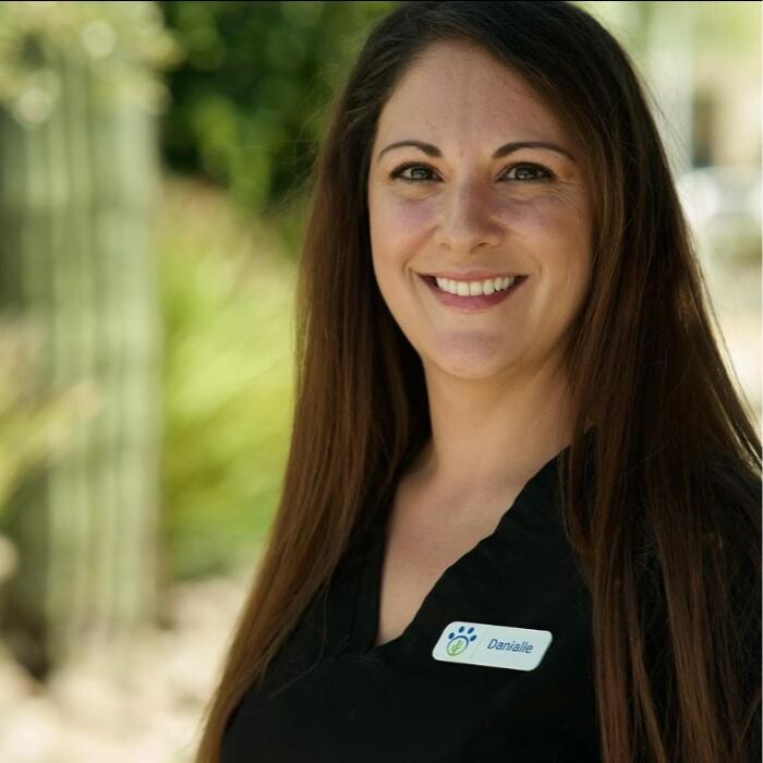 Images Saguaro Veterinary Clinic