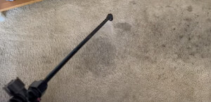 Images Elite Carpet & Tile Cleaning