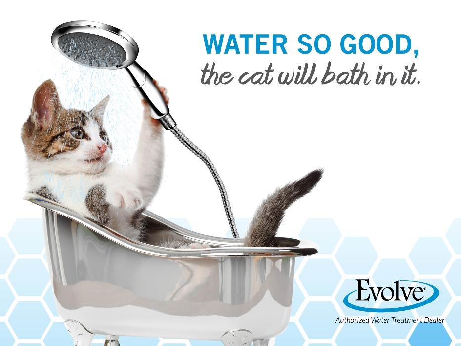 Images Futuramic's Clean Water Center