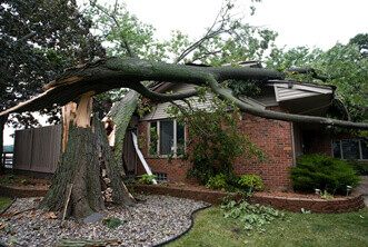 Images Cedar Pond Tree and Crane Service
