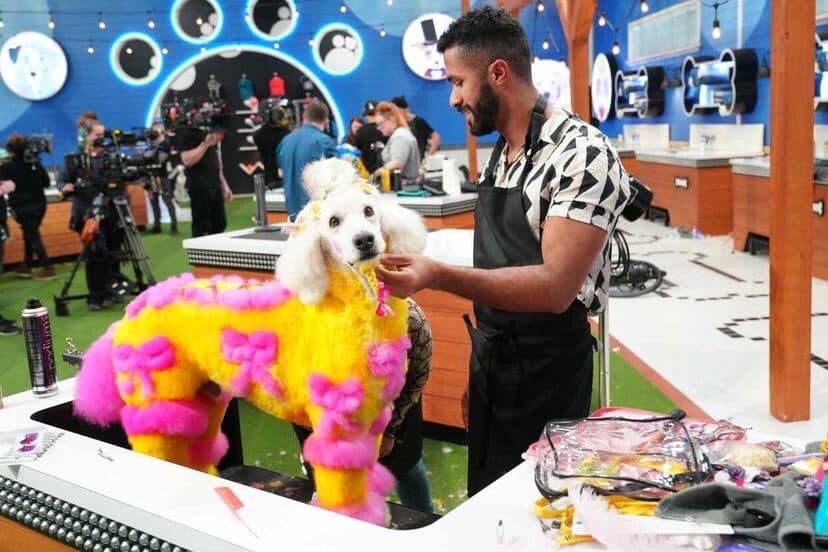 Images Well Groomed Pets Sarasota