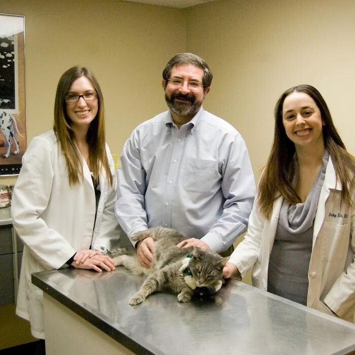 Images Valley Veterinary Hospital