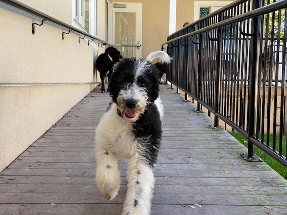 Images Valley Veterinary Hospital