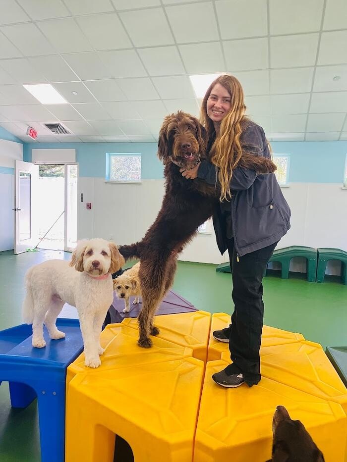 Images Valley Veterinary Hospital