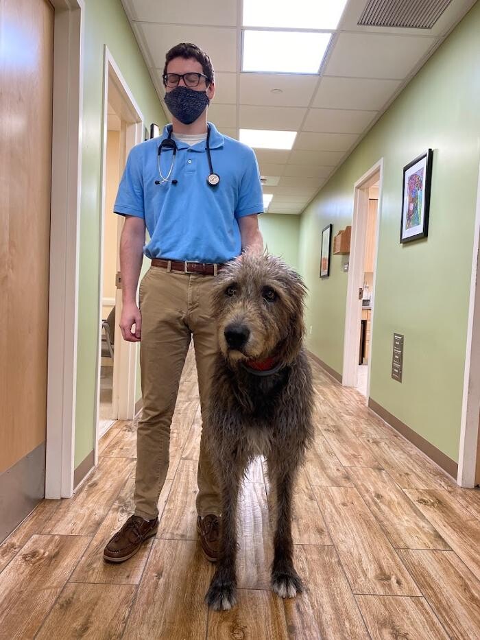 Images Valley Veterinary Hospital