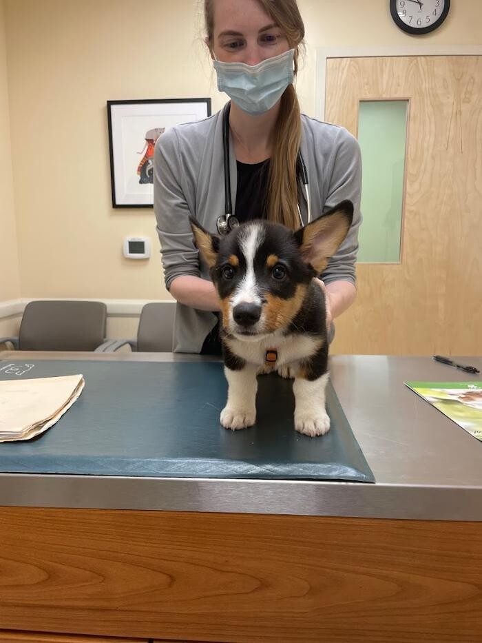Images Valley Veterinary Hospital