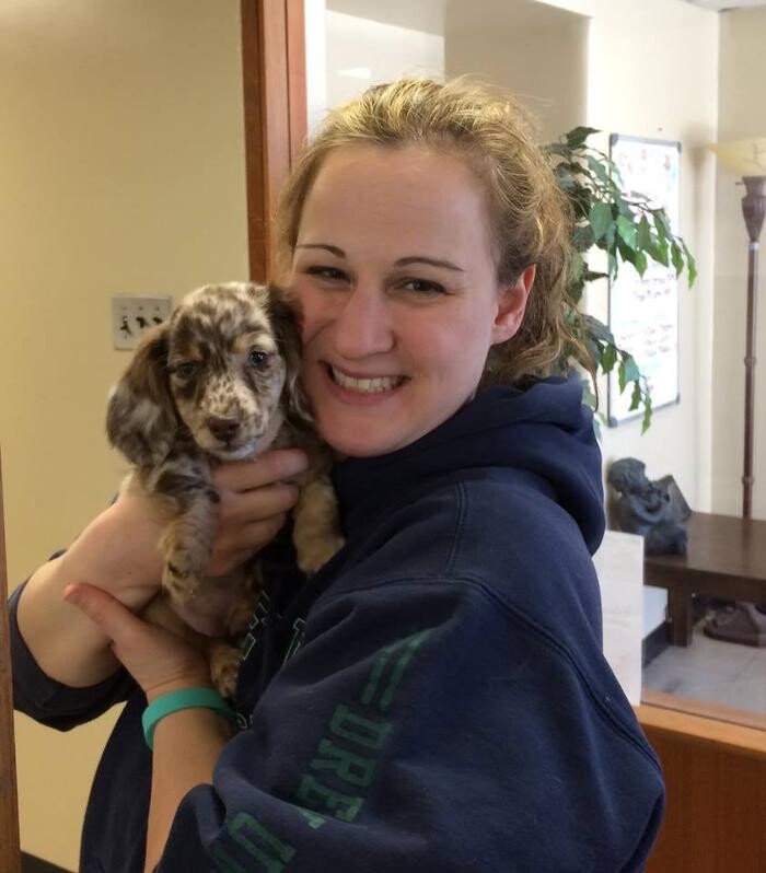 Images Valley Veterinary Hospital