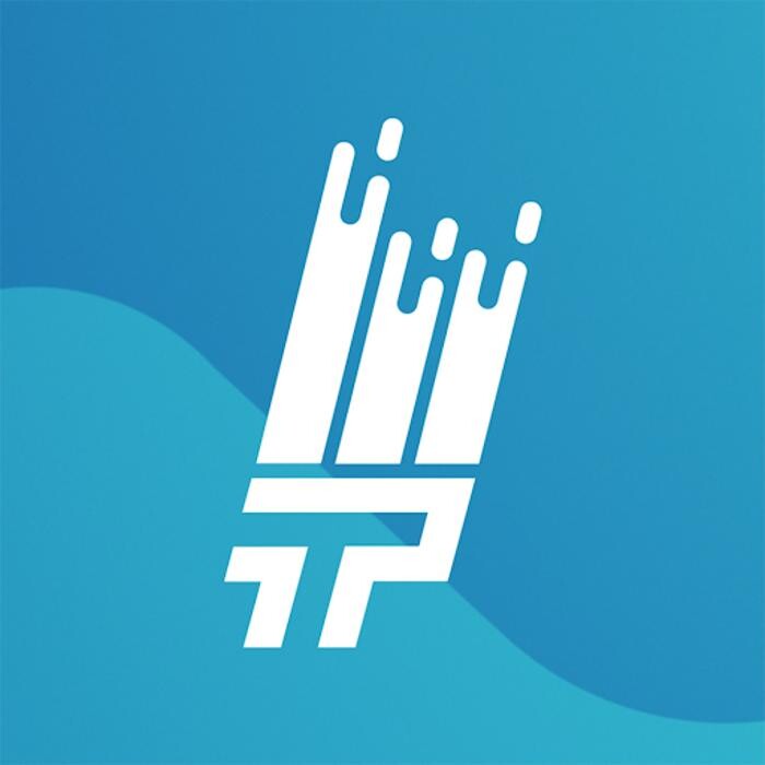 That 1 Painter Sarasota Logo