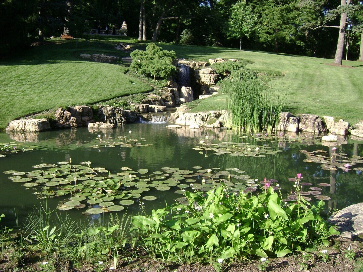 Images Chicago Pond Pros Inc.