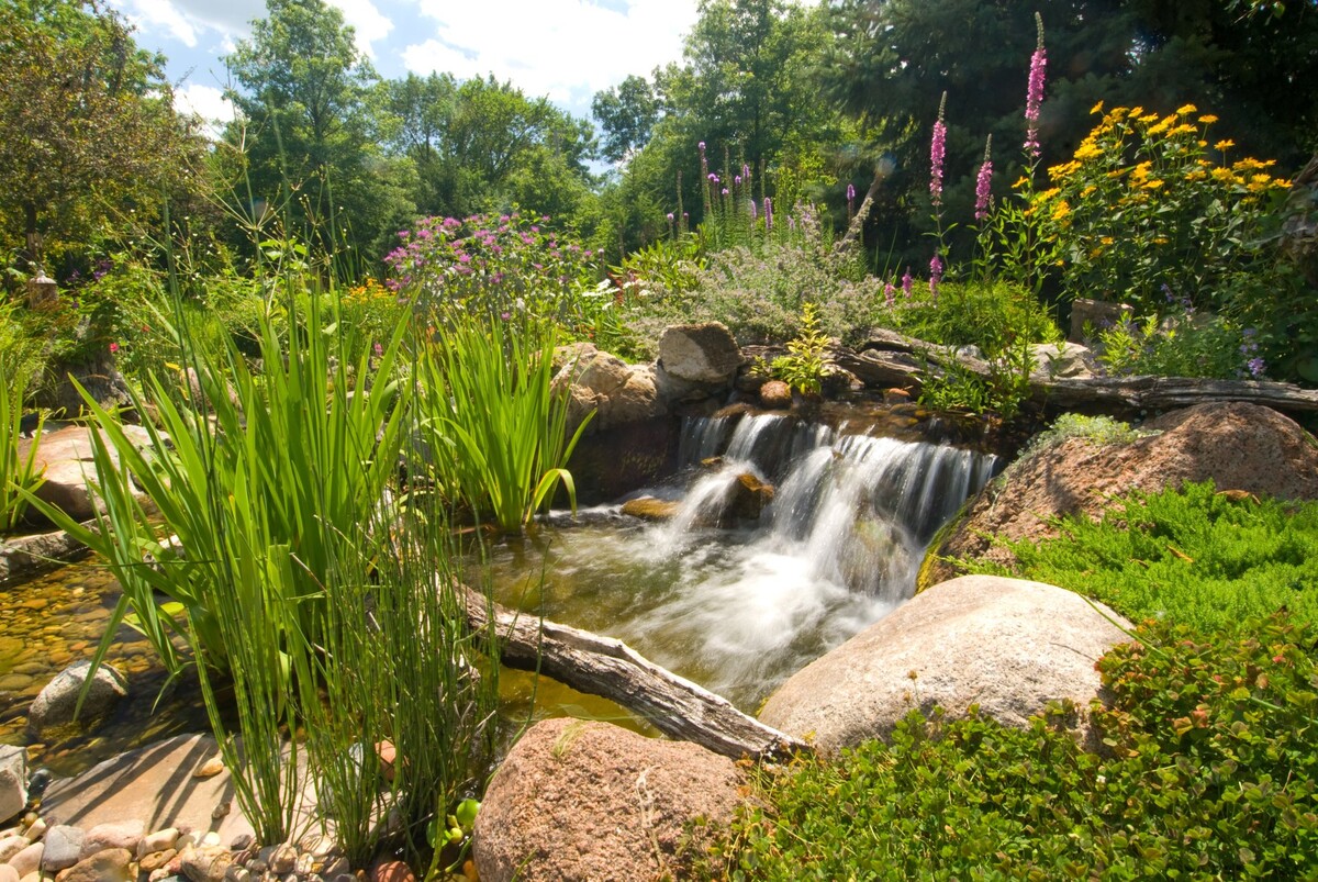 Images Chicago Pond Pros Inc.