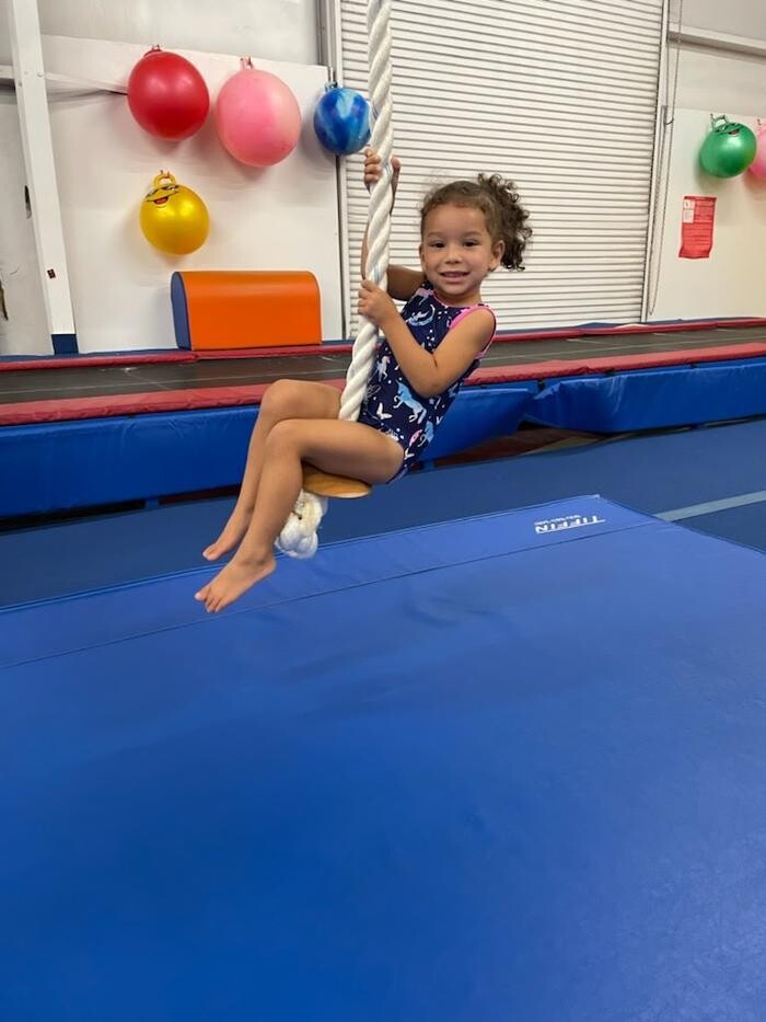 Images Gymnastics Gold