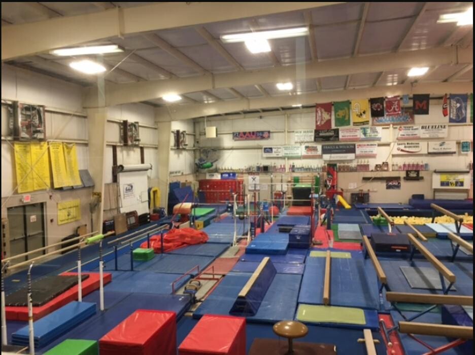 Images Gymnastics Gold