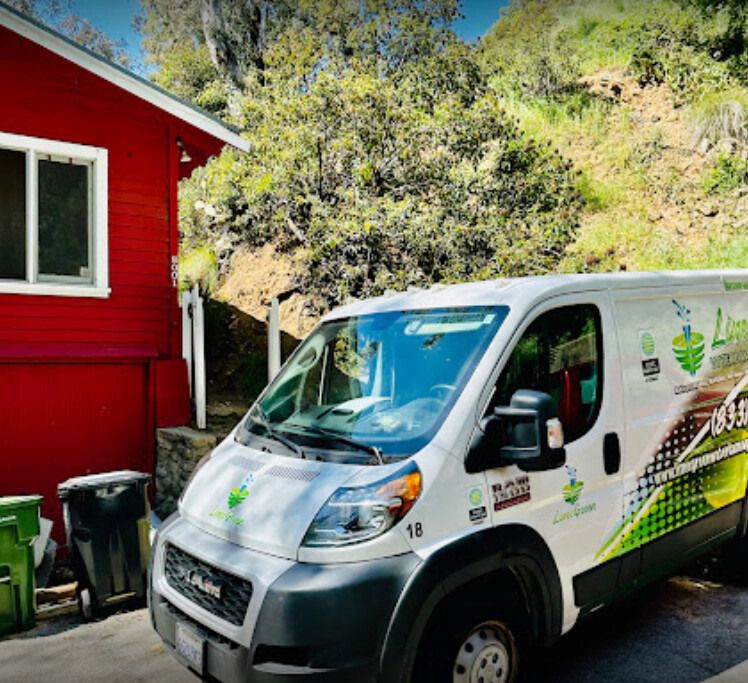 Images LimeGreen Water Damage & Restoration