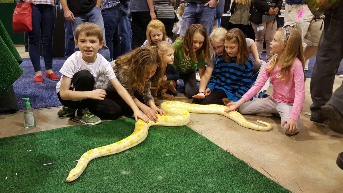 Images Party Paws Mobile Zoo