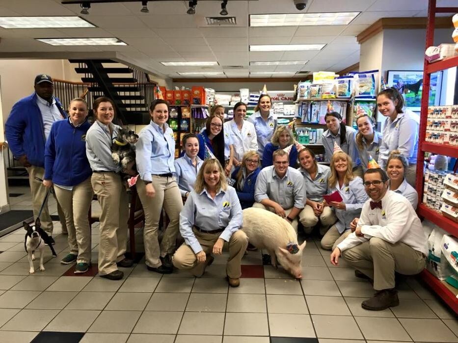 Images Care First Animal Hospital at Glenwood