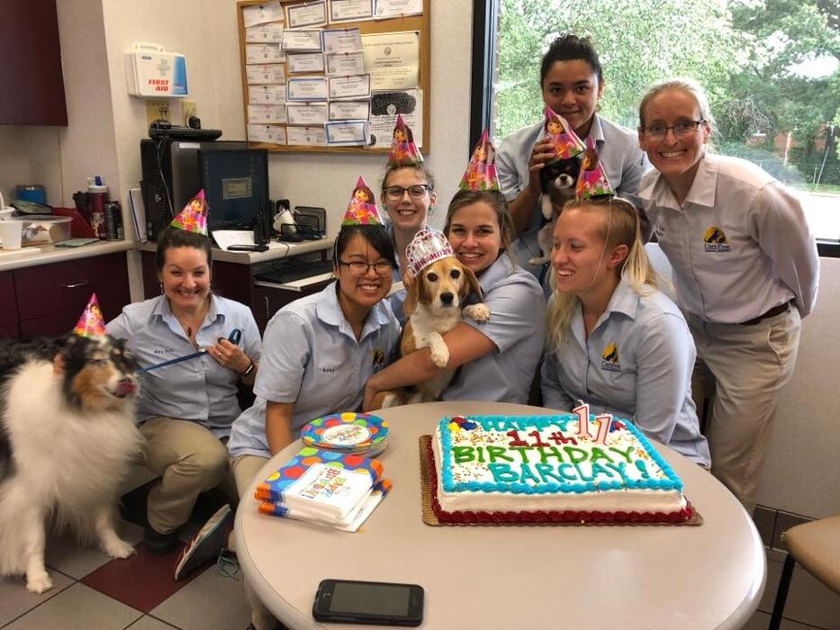 Images Care First Animal Hospital at Glenwood