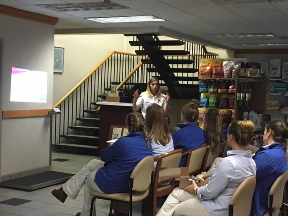 Images Care First Animal Hospital at Glenwood