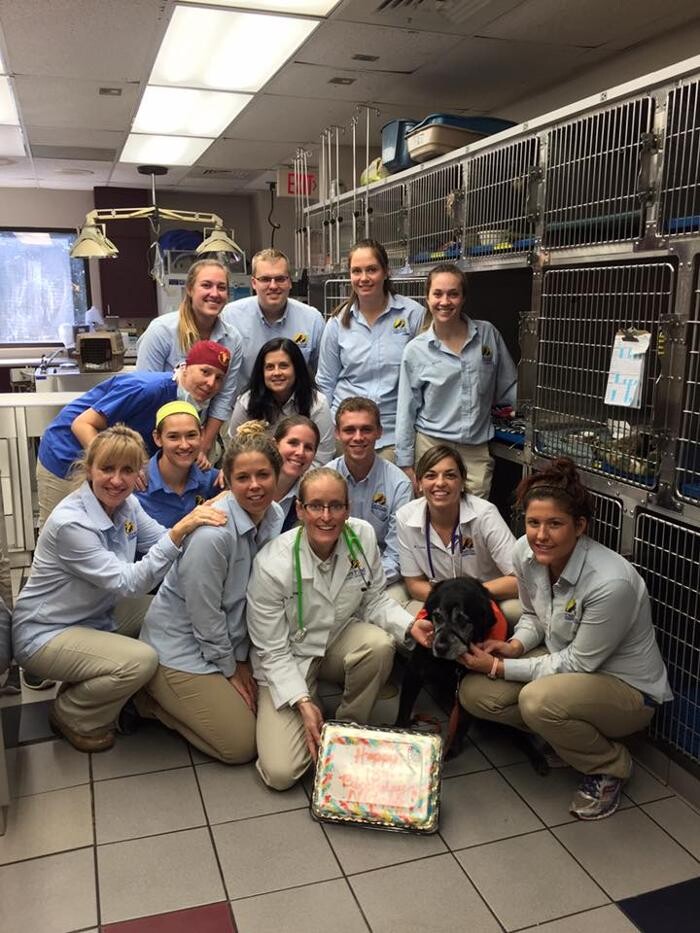 Images Care First Animal Hospital at Glenwood