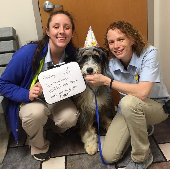 Images Care First Animal Hospital at Glenwood