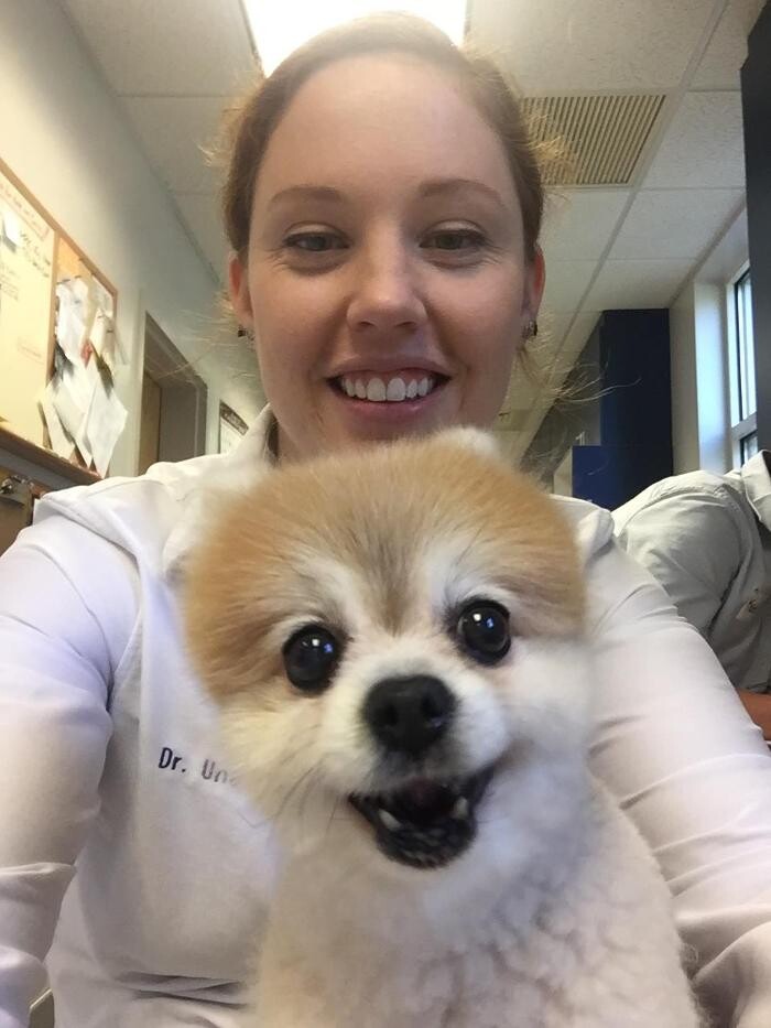 Images Care First Animal Hospital at Glenwood
