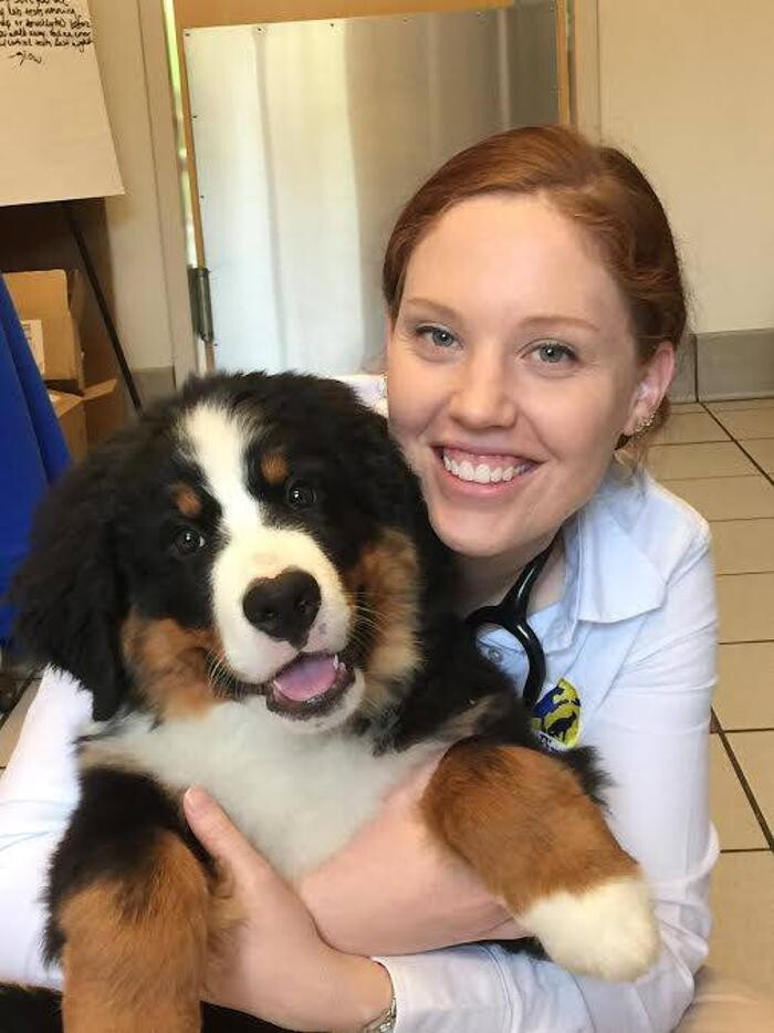 Images Care First Animal Hospital at Glenwood