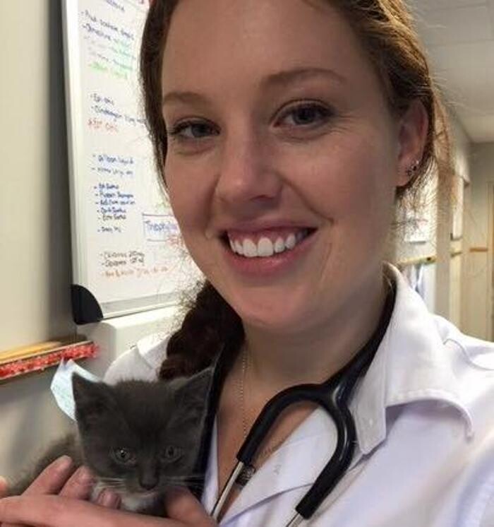 Images Care First Animal Hospital at Glenwood