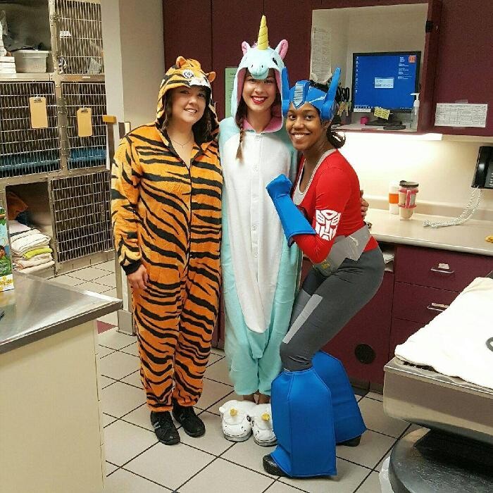 Images Care First Animal Hospital at Glenwood