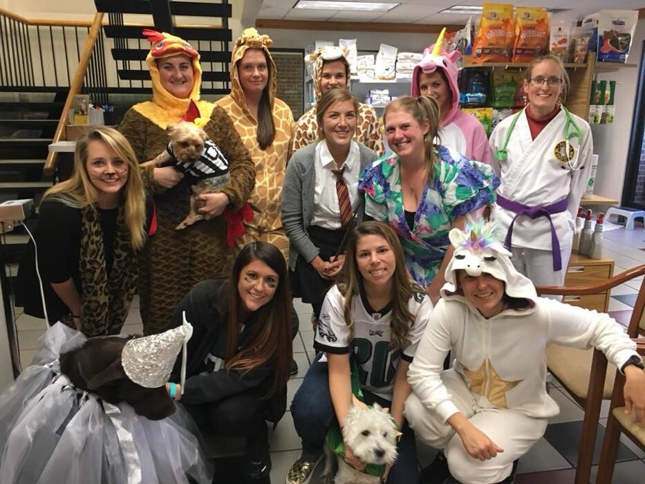 Images Care First Animal Hospital at Glenwood