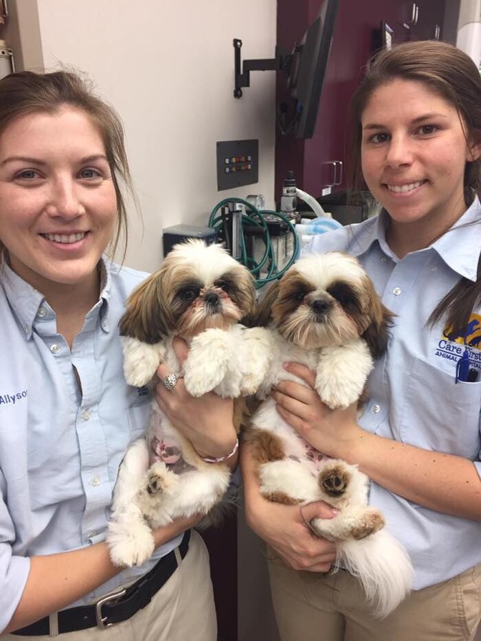 Images Care First Animal Hospital at Glenwood
