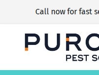 Website Screenshot PURCOR Pest Solutions