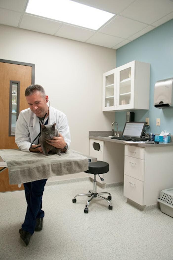 Images Hambright Animal Hospital