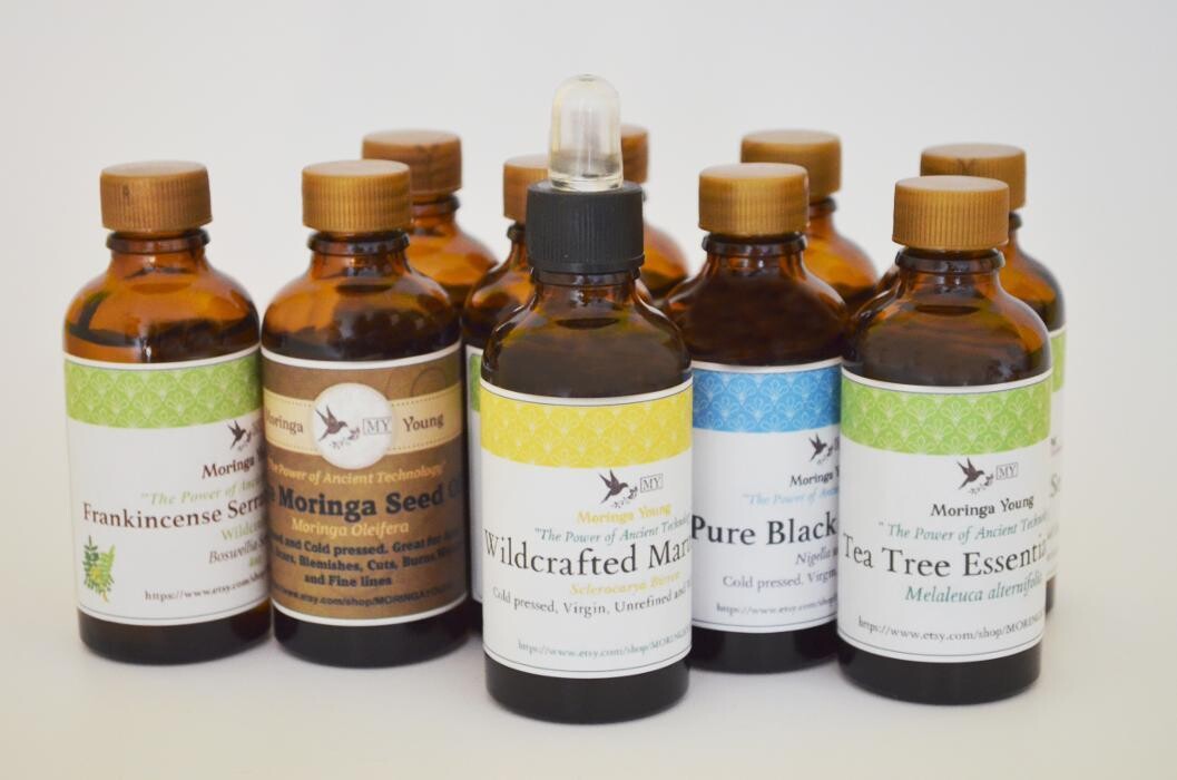 Images Moringa Young