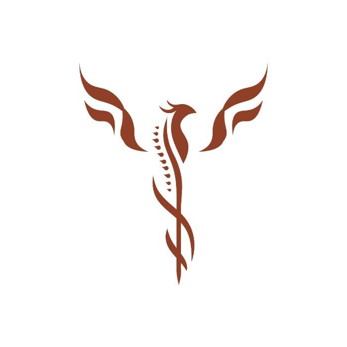 Comprehensive Spine Medical Group Logo