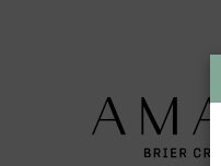 Website Screenshot Amavi Brier Creek