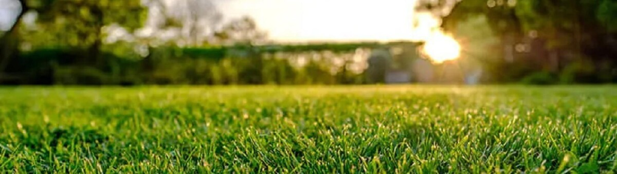 Images Green Envy Lawn Care