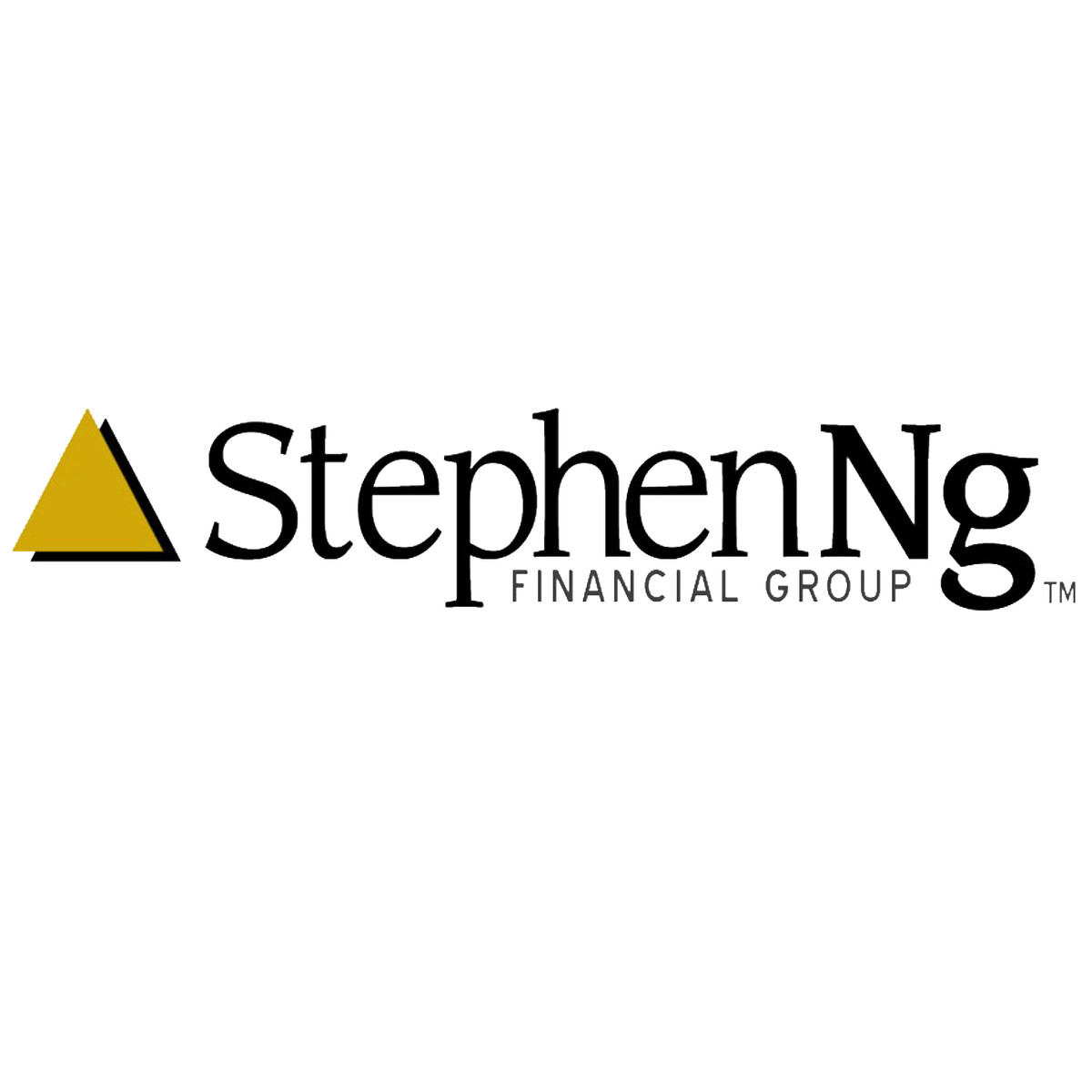 Stephen Ng Financial Group Logo