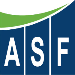 Arthur Stein Financial Logo
