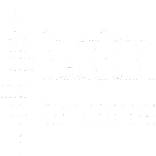 Black Point Capital Partners Logo