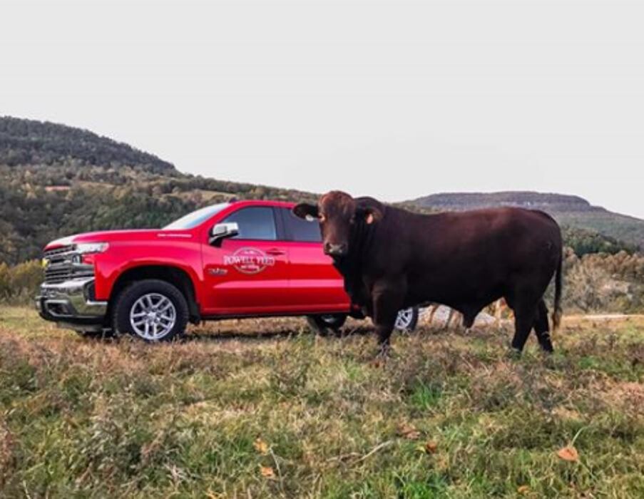 Images Powell Feed and Milling