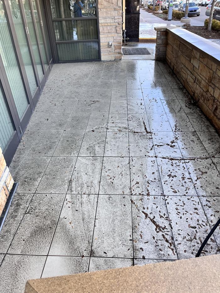 Images Premier Window Cleaning & Pressure Washing