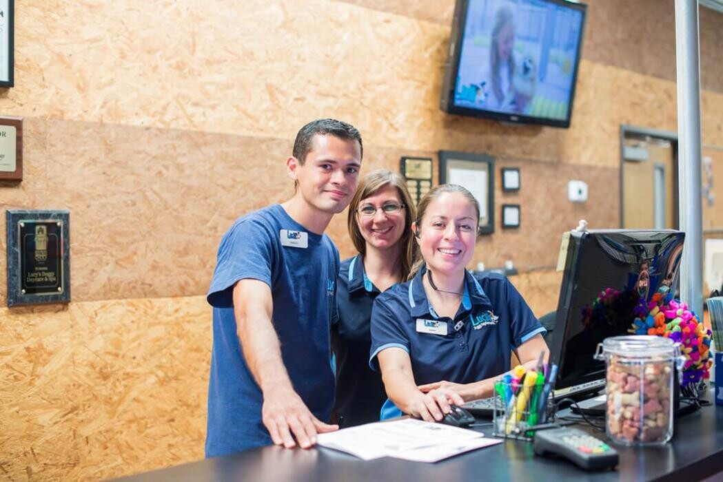 Images Lucy's Doggy Daycare and Spa