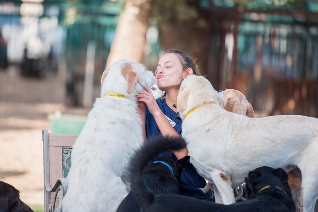 Images Lucy's Doggy Daycare and Spa